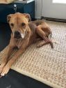 Paris A035886