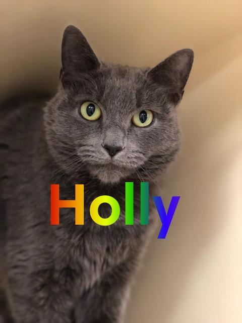 . Holly - polydactyl! .