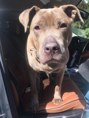 . Minnie ( aka. Hippo) .