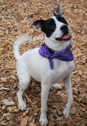 Photo of Athena