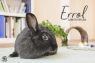 . Errol .