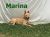 . Marina .