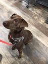 Faith A033341