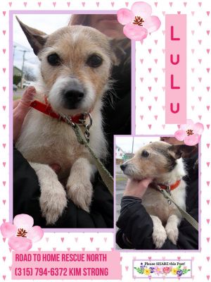 Photo of Lulu