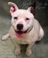 Coco A034306