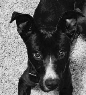 . Duke .