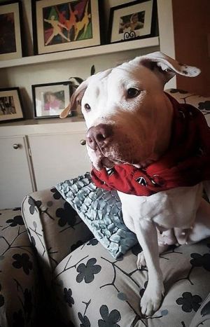. Rosie .
