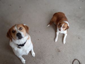 . Daisy and Jake .