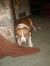 . Daisy and Jake .