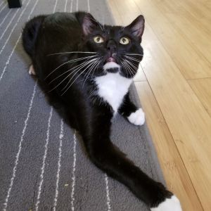 Photo of Gustaf