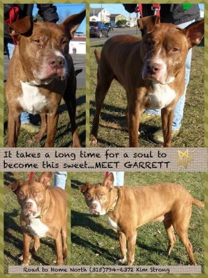 Photo of Garrett