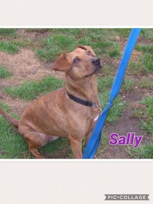 Photo of Sally