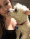 . Little Frosty - My Adoption Fee is Sponsored! .