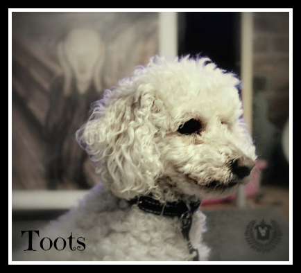 . Toots .