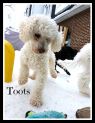 . Toots .