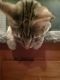 . Oliver and Linus .
