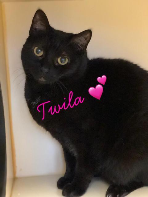 . Twila .