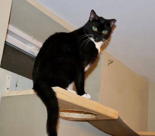 Photo of Junior