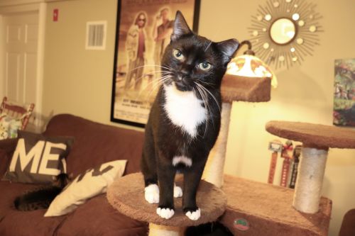 Photo of Junior