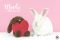 . Mochi .