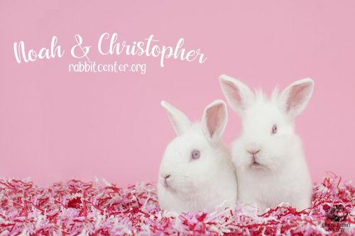 . Noah & Christopher .