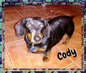 . Cody .