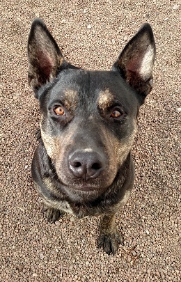 . Zeus .