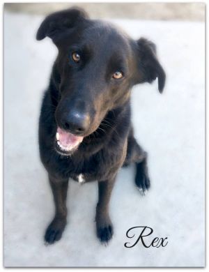 . Rex .