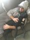 . Mostaccioli - My adoption fee is sponsored! .