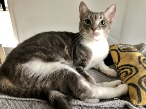 . Luna .
