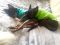 . Sassy and Oscar (We're a bonded pair!) .
