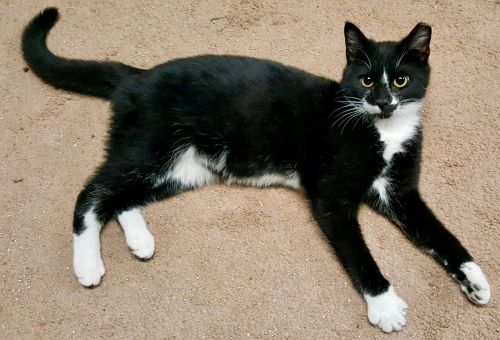 Photo of Boots