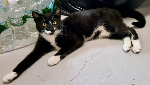 Photo of Boots