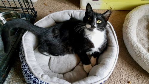 Photo of Boots