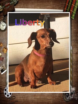 . Liberty .
