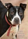 Teeka A034520