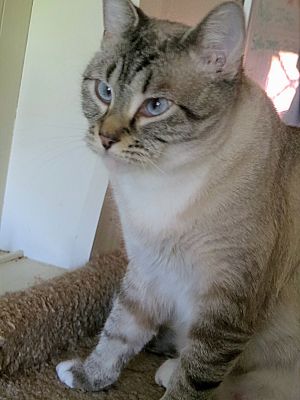 . Sabrina .