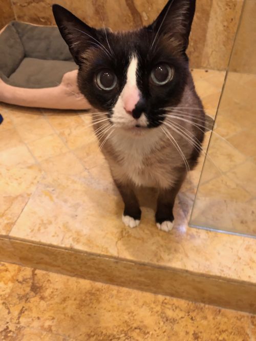 . Coco .
