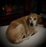 Maggie