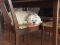. Imogene -- My adoption fee is sponsored! .