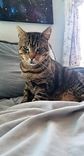 . Tigger Two .