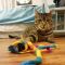 . Tigger Two .