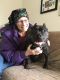 . Powder Puff - Leap Fund Dog! .