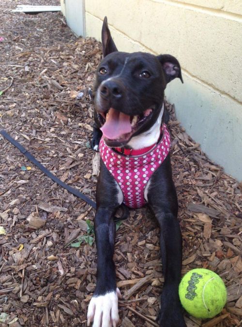 Photo of Tovah
