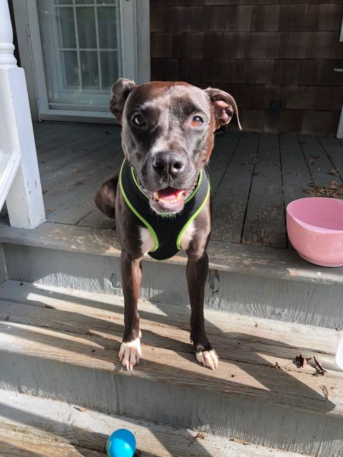 Photo of Tovah