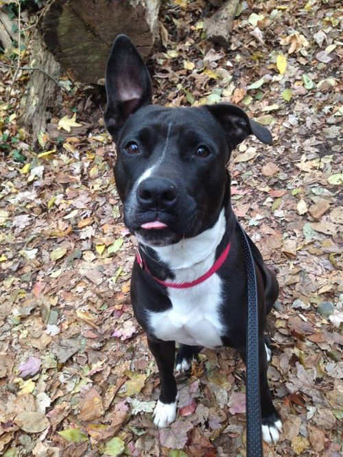 Photo of Tovah