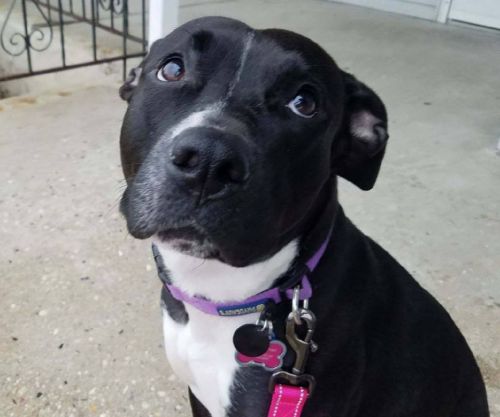 Photo of Tovah