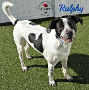 . Ralphy .