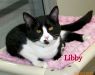 Libby