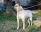 . PAISLEY RILEY (and meet MERLE RILEY .